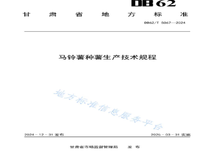 DB62/T 5067-2024马铃薯种薯生产技术规程