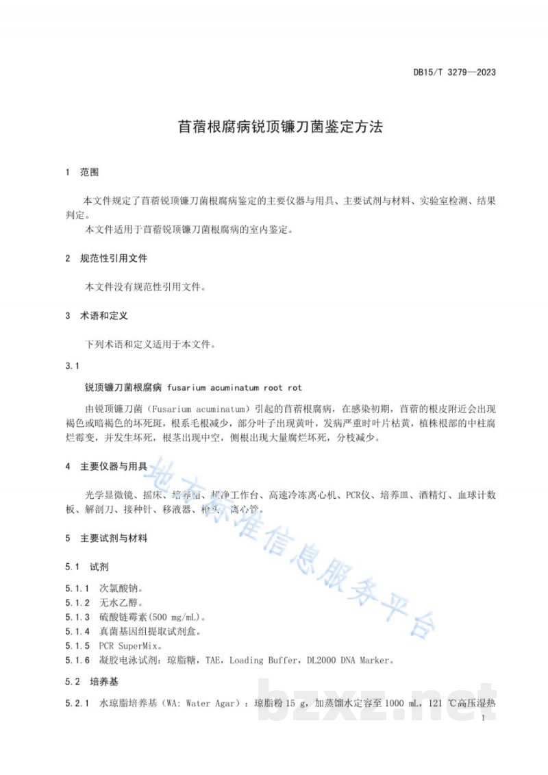DB15/T 3279-2023苜蓿根腐病锐顶镰刀菌鉴定方法