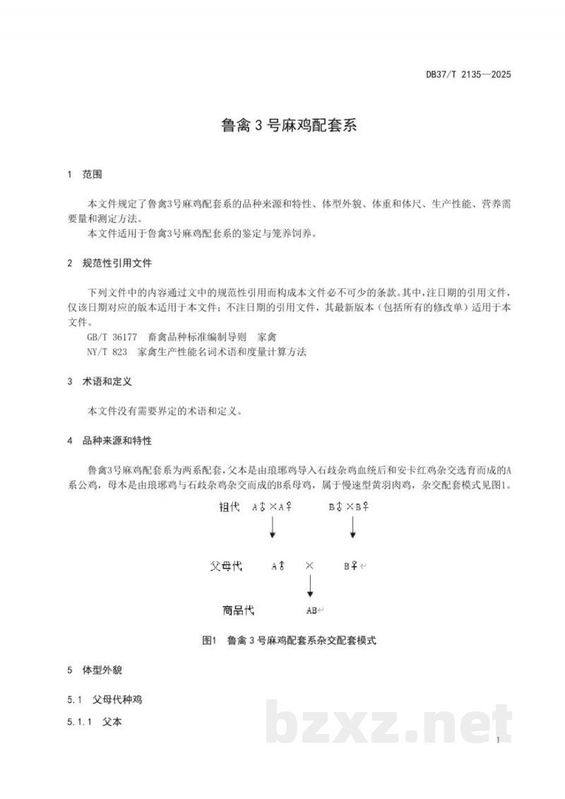 DB37/T 2135-2025鲁禽3号麻鸡配套系