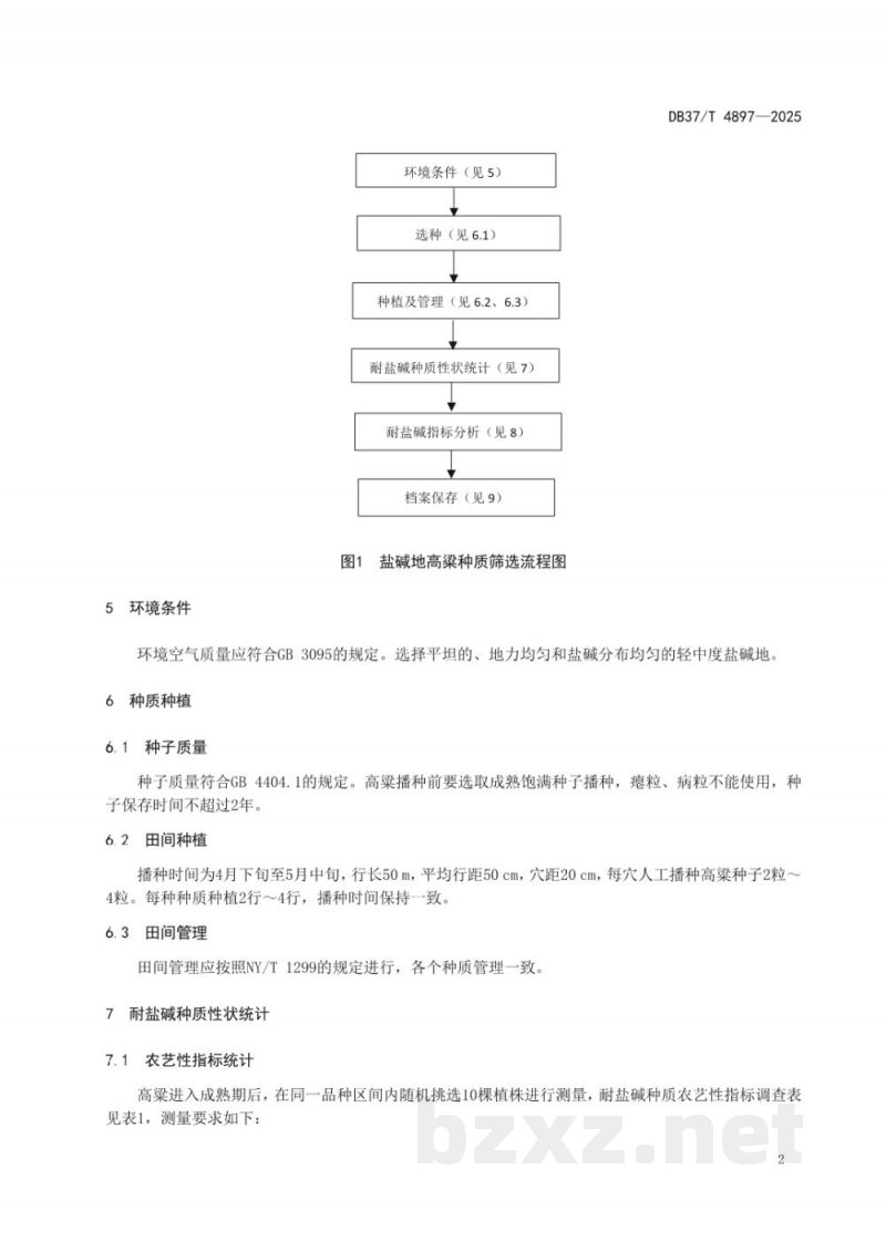 DB37/T 4897-2025盐碱地高粱种质筛选技术规程