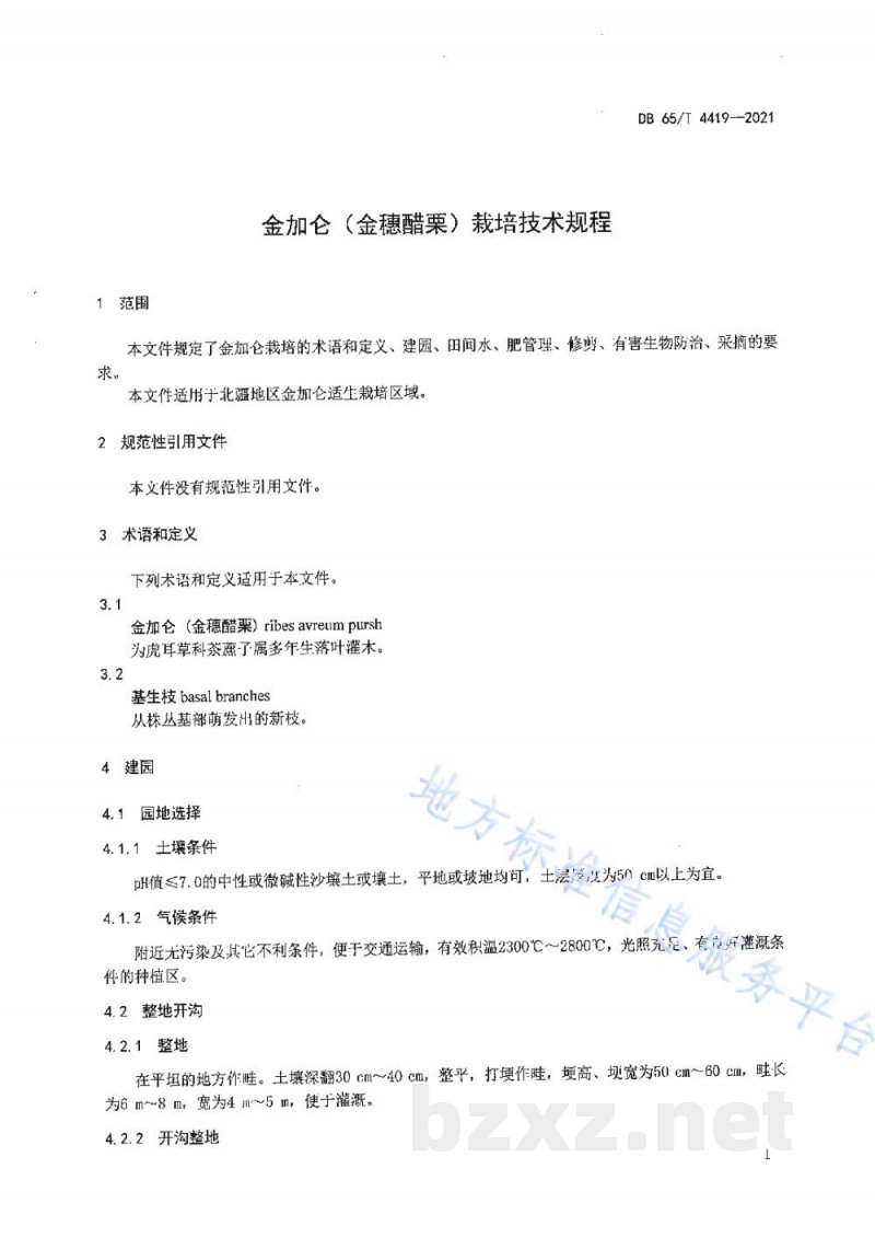 DB65/T 4419-2021金加仑（金穂醋栗）栽培技术规程