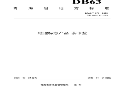 DB63/T 871-2025地理标志产品 茶卡盐