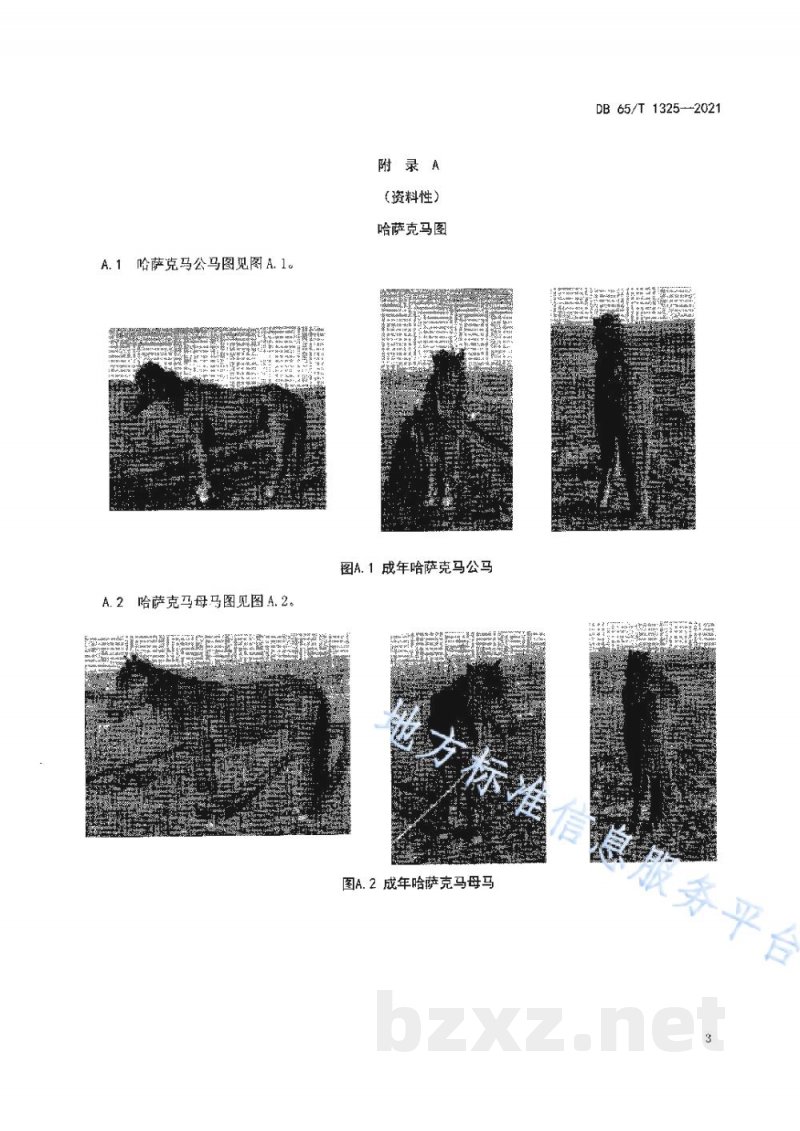 DB65/T 1325-2021哈萨克马