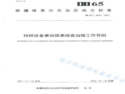 DB65/T 4467-2021特种设备事故隐患排查治理工作导则