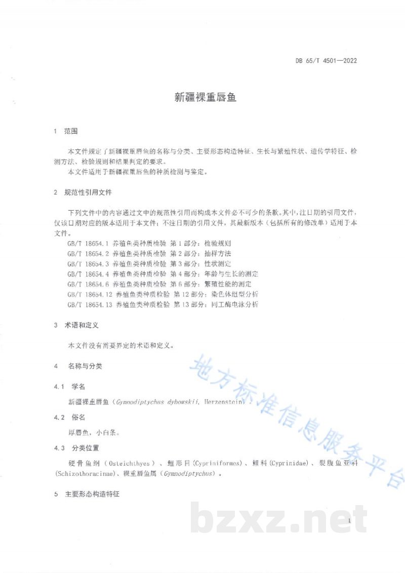 DB65/T 4501-2022新疆裸重唇鱼