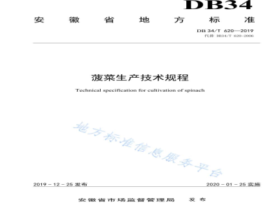 DB34/T 620-2019菠菜生产技术规程