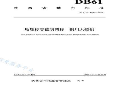 DB61/T 1945-2024地理标志证明商标 铜川大樱桃
