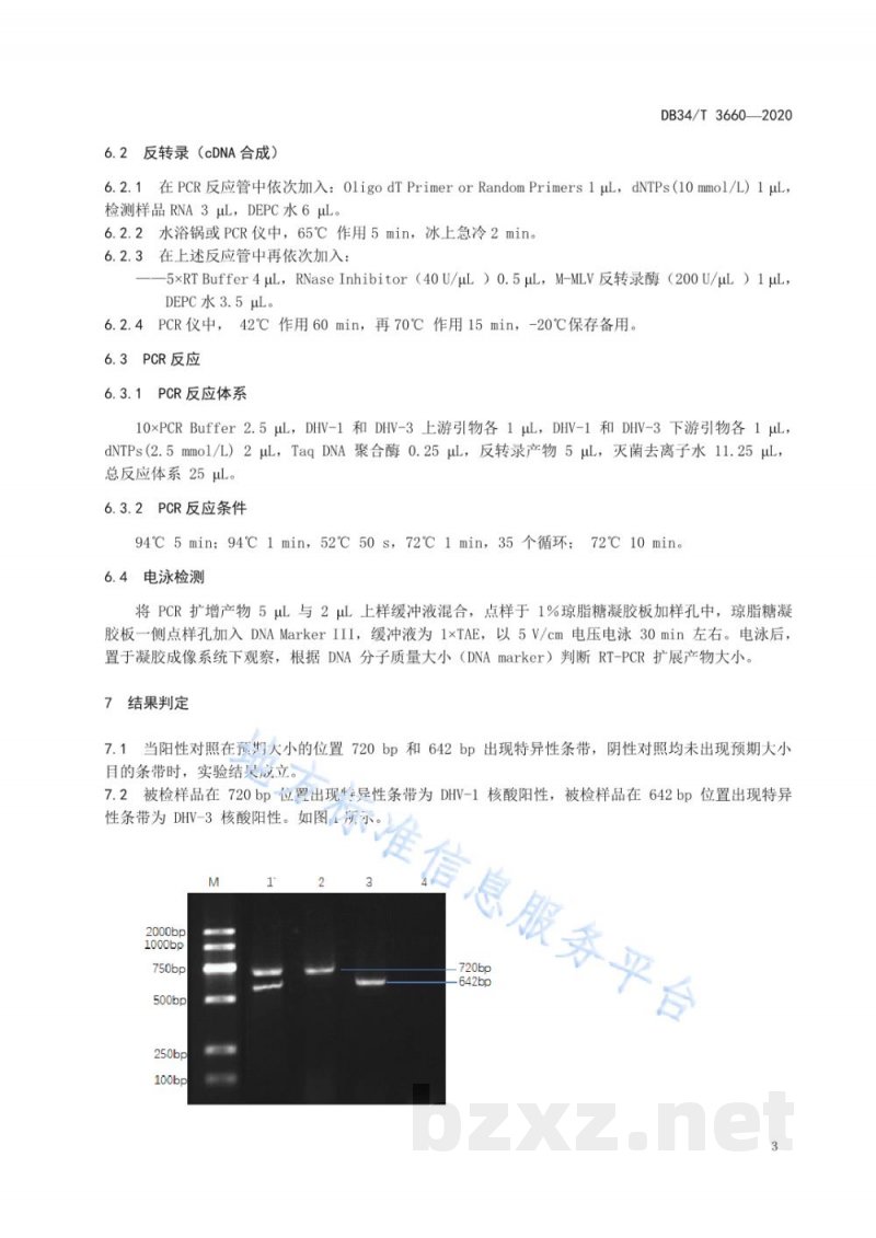 DB34/T 3660-2020鸭肝炎病毒1型和3型双重RT-PCR检测方法