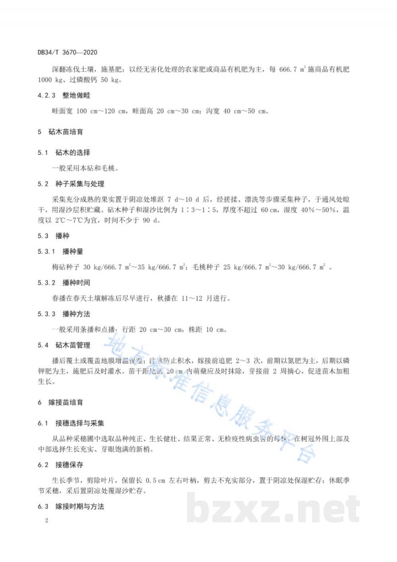 DB34/T 3670-2020青梅种苗繁育技术规程