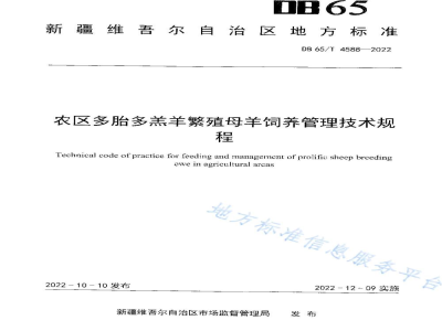 DB65/T 4588-2022农区多胎多羔羊繁殖母羊饲养管理技术规程