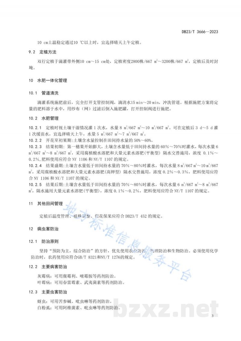 DB23/T 3666-2023温室春茬番茄膜下滴灌水肥一体化技术规程
