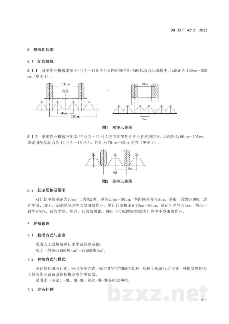 DB32/T 4212-2022鲜食型甘薯轻简化生产技术规程