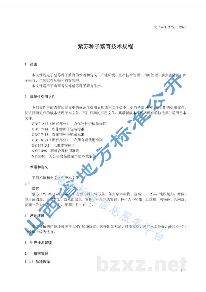 DB14/T 2758-2023紫苏种子繁育技术规程