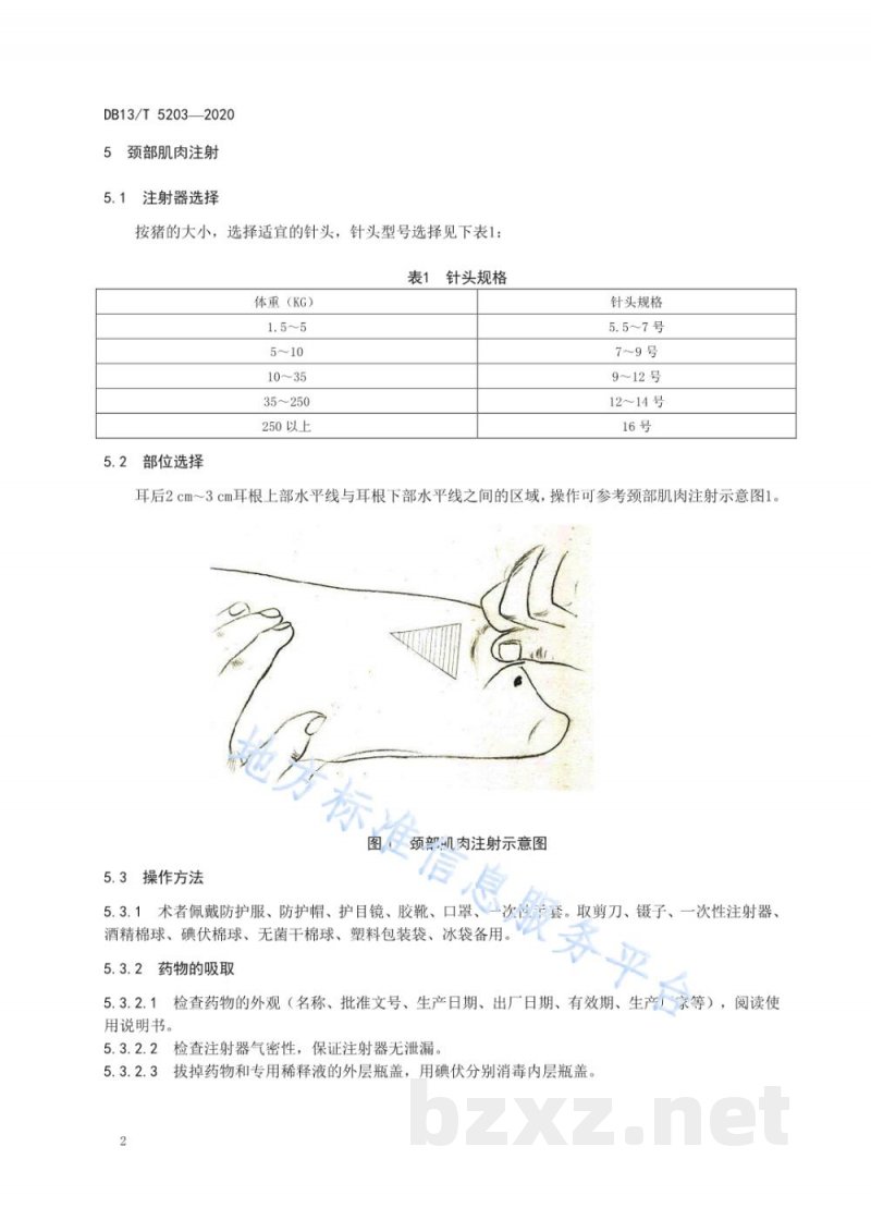 DB13/T 5203-2020猪颈部肌肉注射及前腔静脉采血技术操作规程