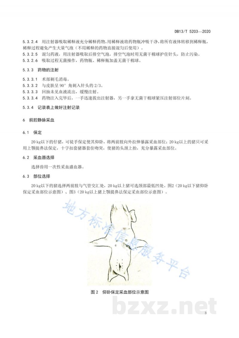 DB13/T 5203-2020猪颈部肌肉注射及前腔静脉采血技术操作规程