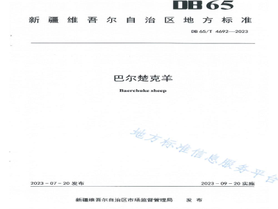 DB65/T 4692-2023巴尔楚克羊