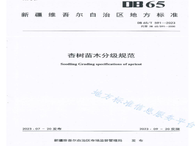 DB65/T 591-2023杏树苗木分级规范