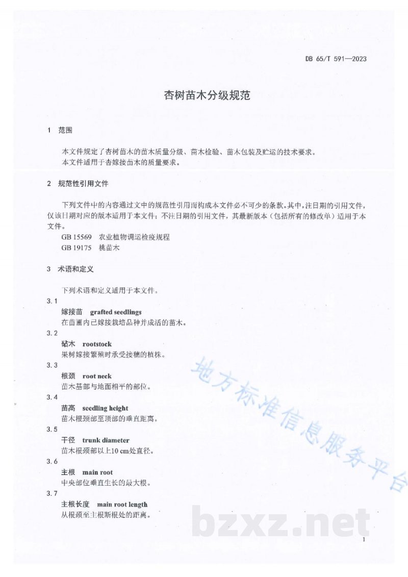 DB65/T 591-2023杏树苗木分级规范