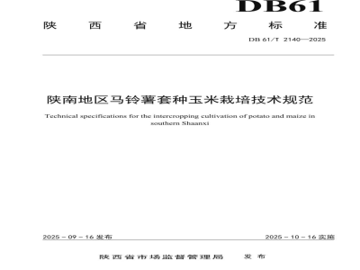 DB61/T 2140-2025陕南地区马铃薯套种玉米栽培技术规范