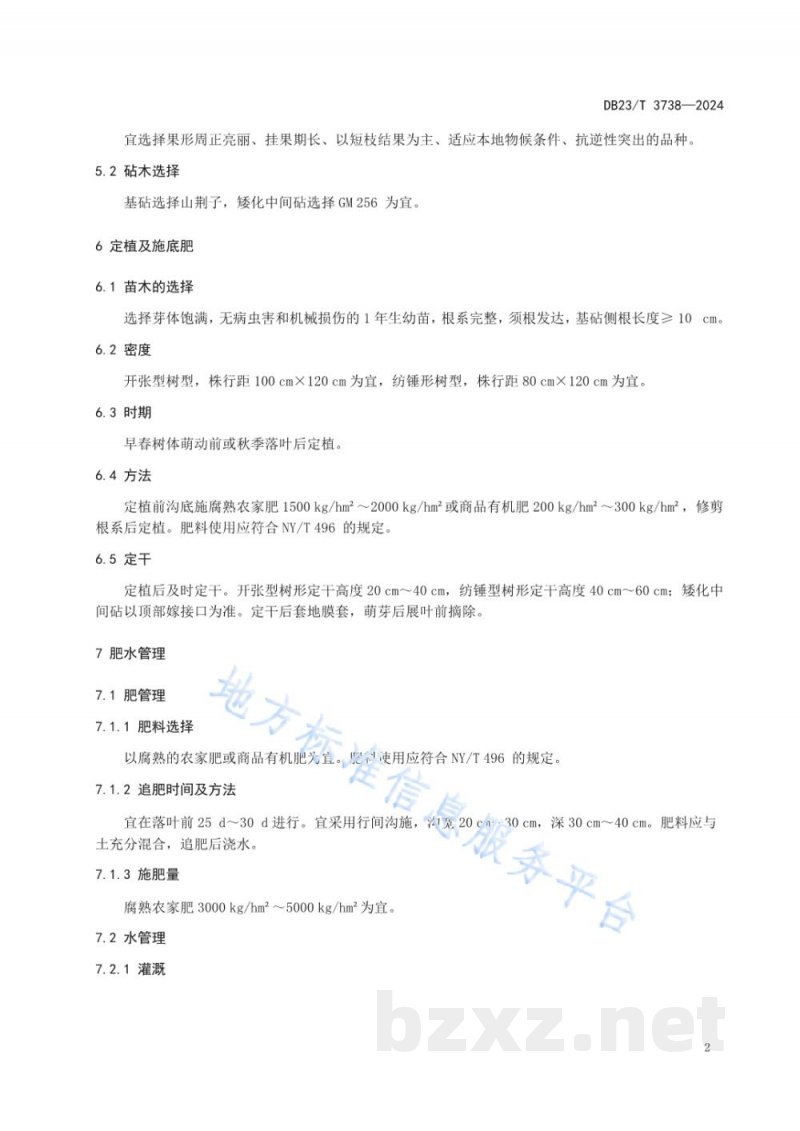 DB23/T 3738-2024盆栽苹果标准化栽培技术规程
