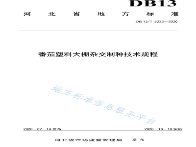 DB13/T 5233-2020番茄塑料大棚杂交制种技术规程