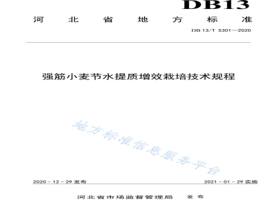 DB13/T 5301-2020强筋小麦节水提质增效栽培技术规程