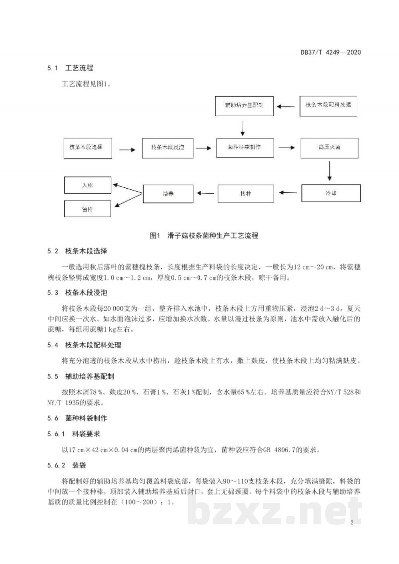 DB37/T 4249-2020滑子菇枝条菌种生产技术规程