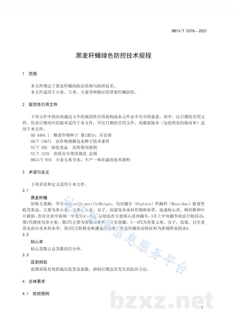 DB13/T 5376-2021黑麦秆蝇绿色防控技术规程