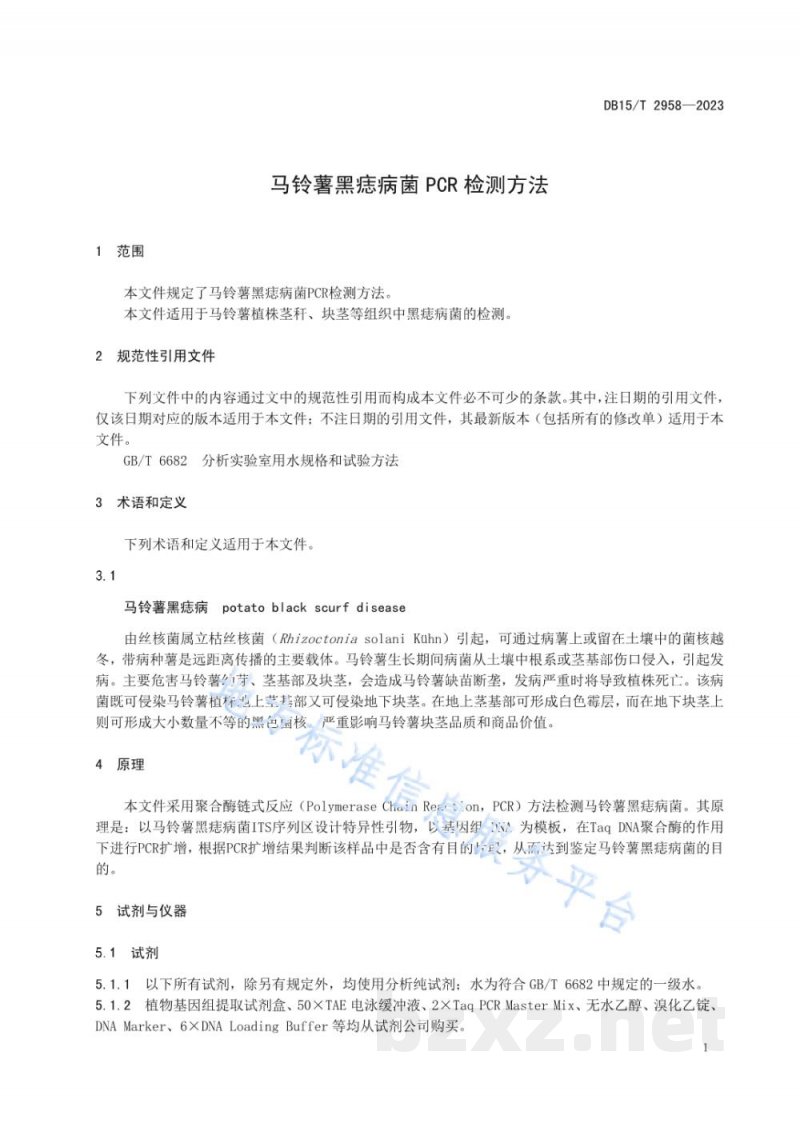 DB15/T 2958-2023马铃薯黑痣病菌PCR检测方法