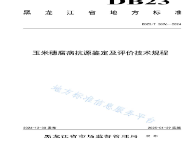 DB23/T 3896-2024玉米穗腐病抗源鉴定及评价技术规程