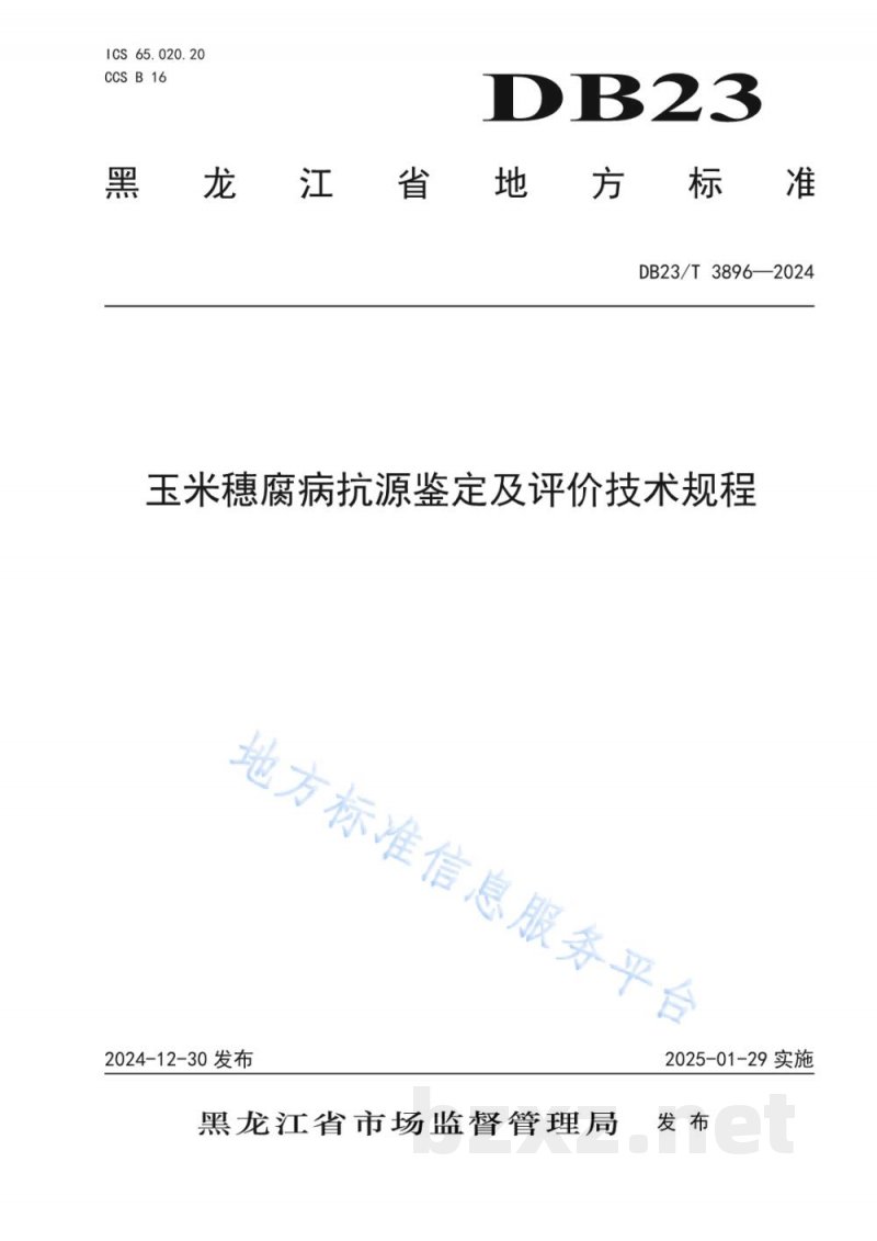 DB23/T 3896-2024玉米穗腐病抗源鉴定及评价技术规程