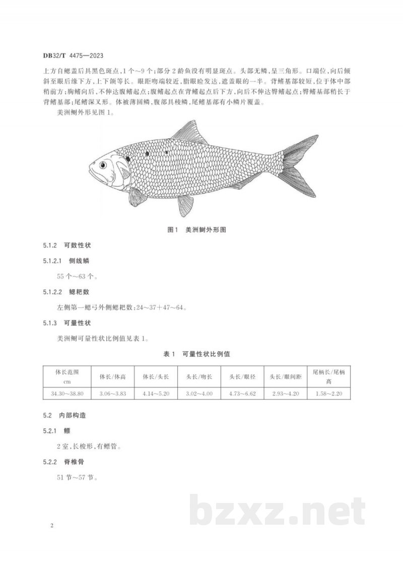 DB32/T 4475-2023美洲鲥种质检测与鉴定方法