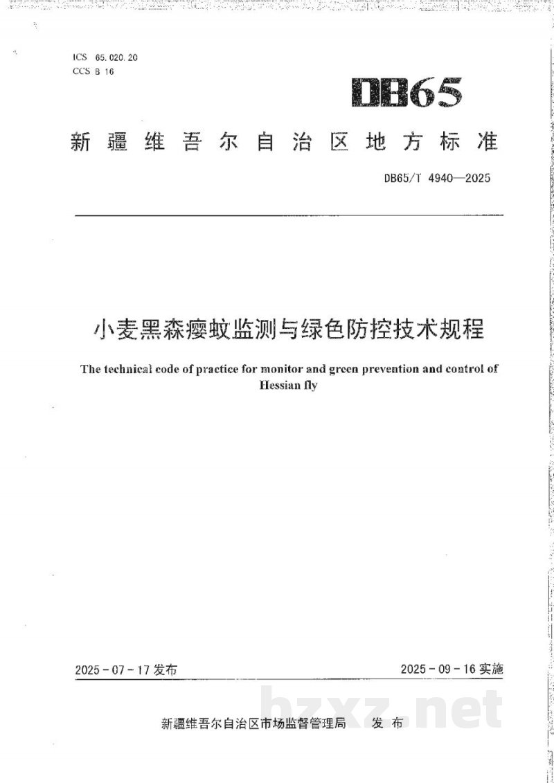DB65/T 4940-2025小麦黑森瘿蚊监测与绿色防控技术规程