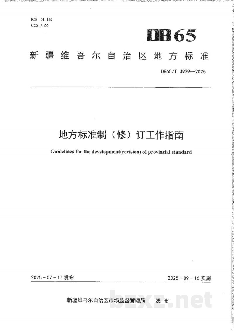 DB65/T 4939-2025地方标准制(修)订工作指南