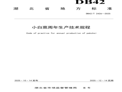 DB42/T 2426-2025小白菜周年生产技术规程
