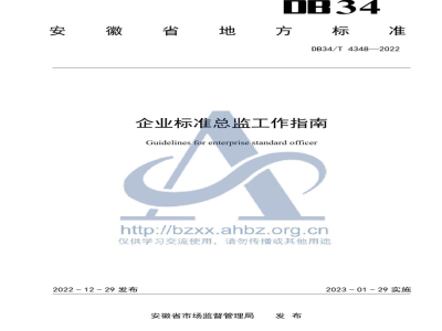 DB34/T 4348-2022企业标准总监工作指南