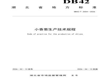 DB42/T 2504-2026小香葱生产技术规程