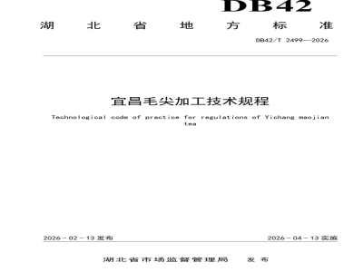DB42/T 2499-2026宜昌毛尖加工技术规程