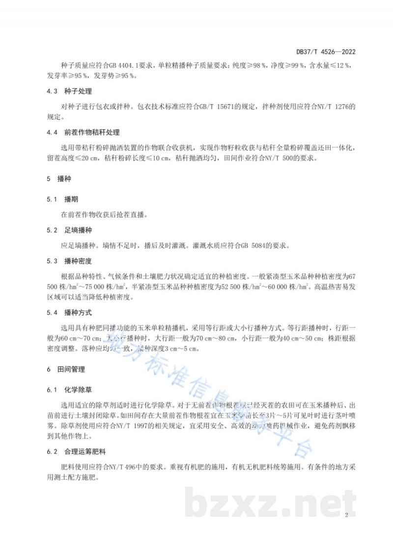DB37/T 4526-2022夏玉米高温热害防控稳产技术规程