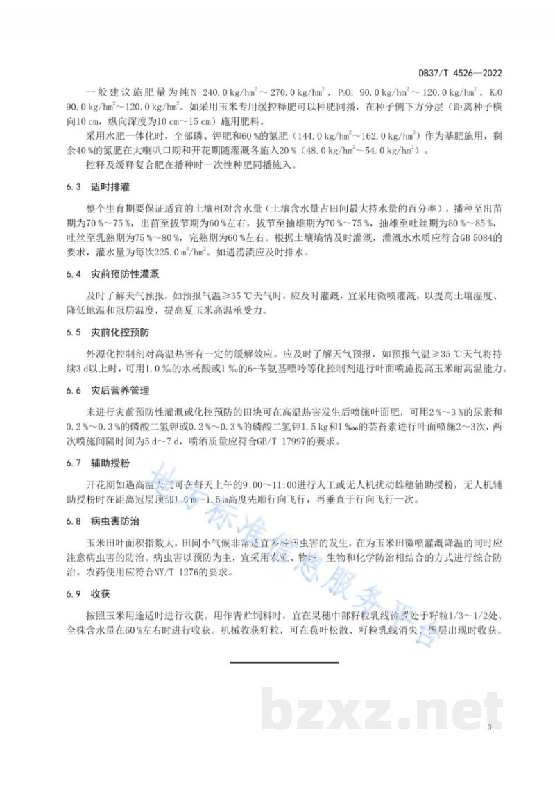 DB37/T 4526-2022夏玉米高温热害防控稳产技术规程