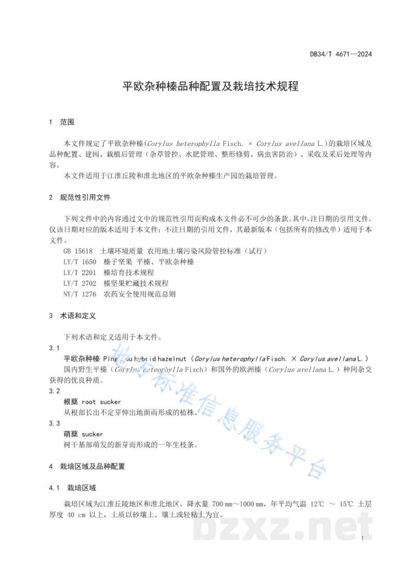 DB34/T 4671-2024平欧杂种榛品种配置及栽培技术规程