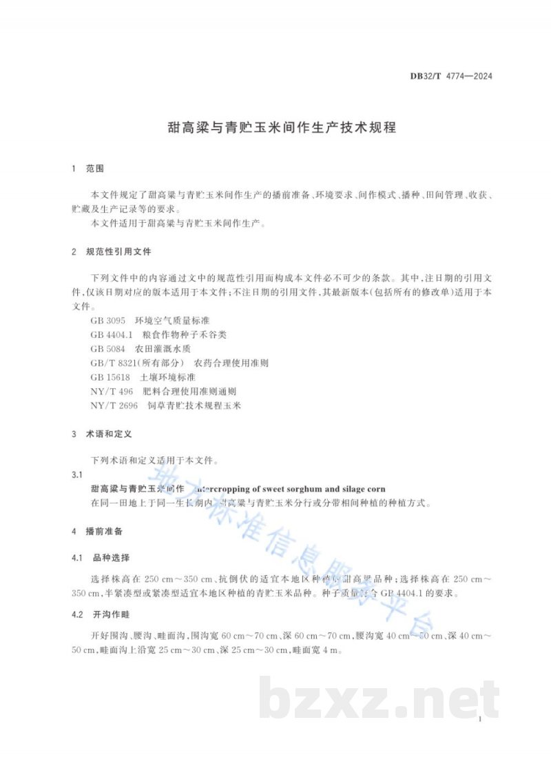 DB32/T 4774-2024甜高粱与青贮玉米间作生产技术规程