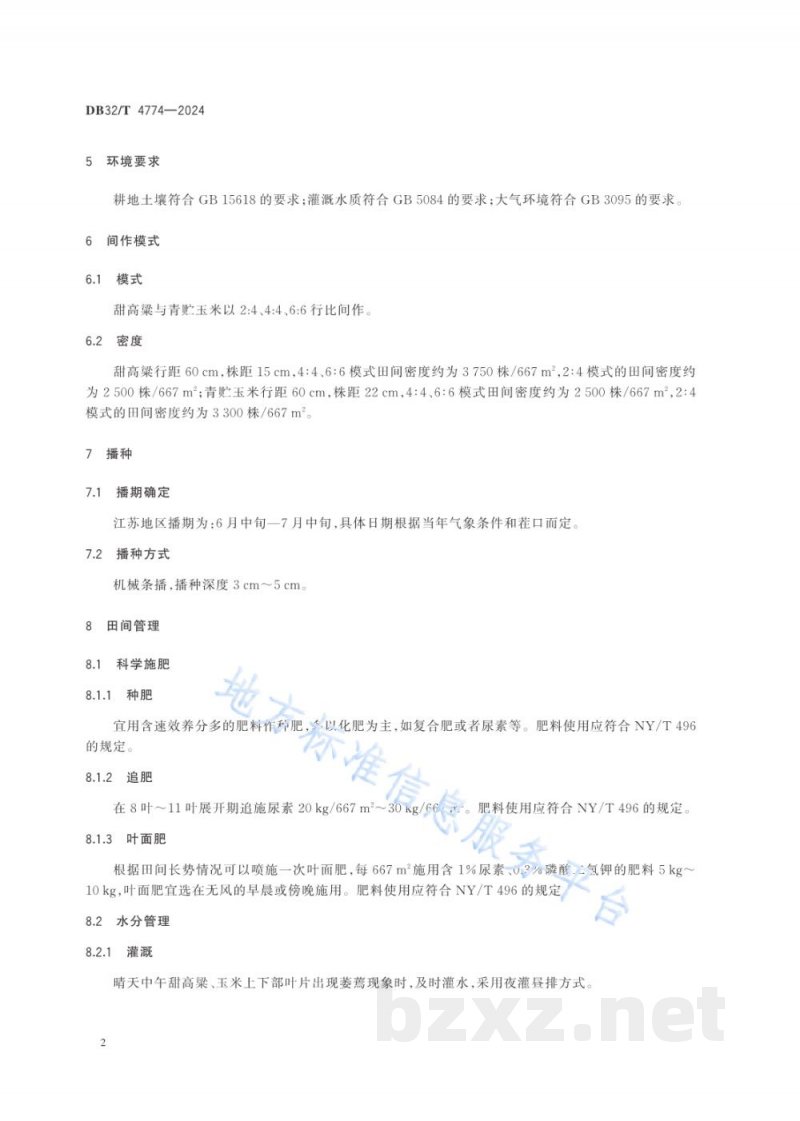 DB32/T 4774-2024甜高粱与青贮玉米间作生产技术规程