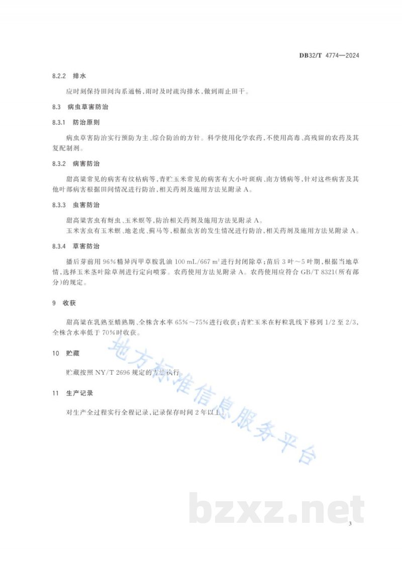 DB32/T 4774-2024甜高粱与青贮玉米间作生产技术规程