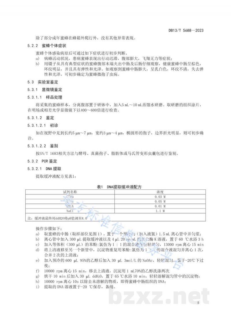 DB13/T 5688-2023蜜蜂微孢子虫病绿色防治技术规程