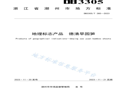 DB3305/T 285-2023地理标志产品 德清早园笋
