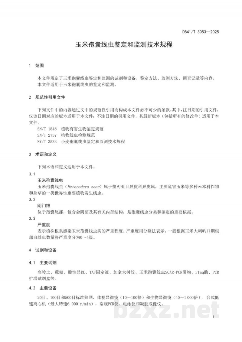 DB41/T 3053-2025玉米孢囊线虫鉴定和监测技术规程