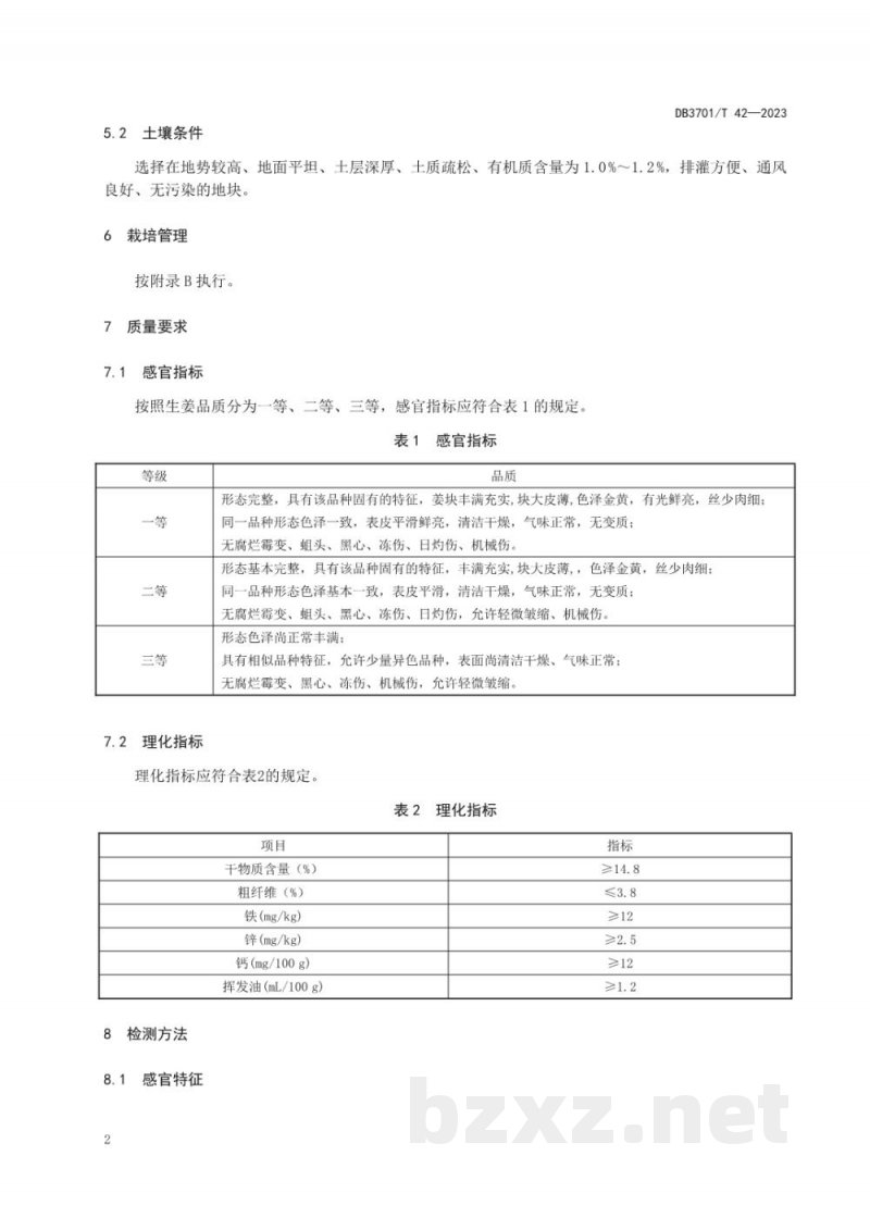DB3701/T 42-2023地理标志产品 莱芜生姜