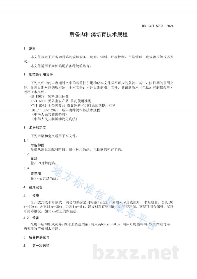 DB13/T 5903-2024后备肉种鸽培育技术规程