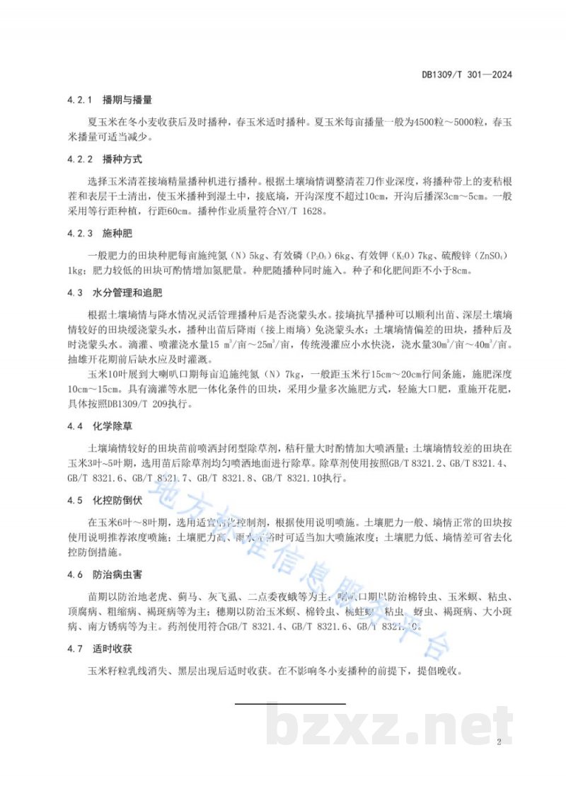 DB1309/T 301-2024玉米清茬抗旱精播高产栽培技术规程